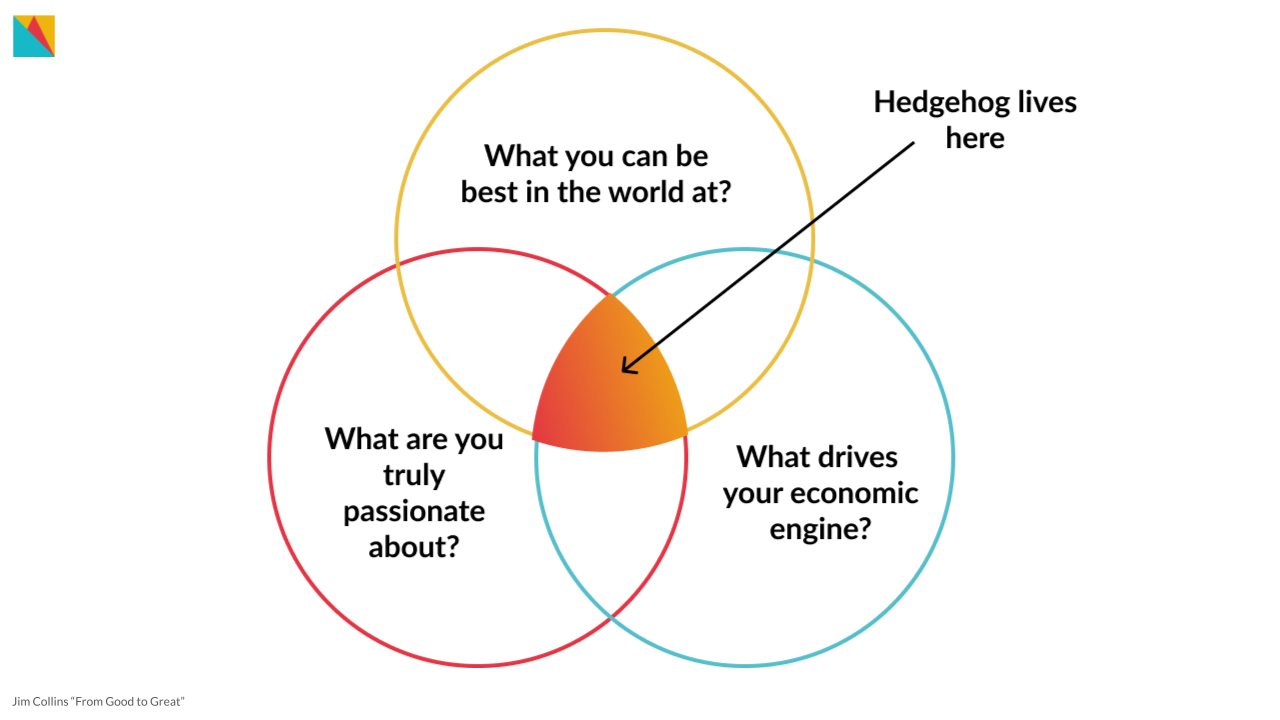 Start at your foundations using Hedgehog as a tool to align your management